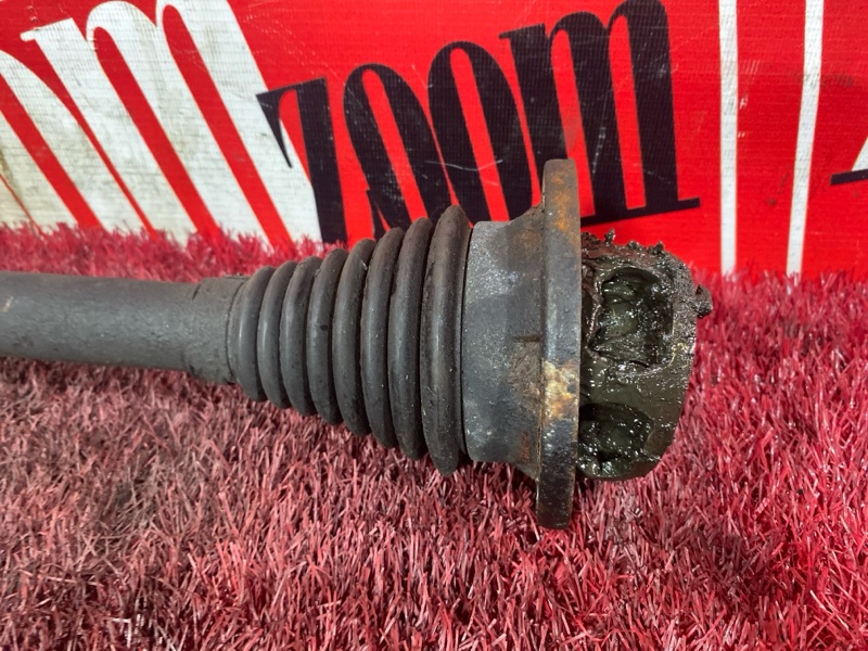 Привод, 2400 рублей, Солонцы