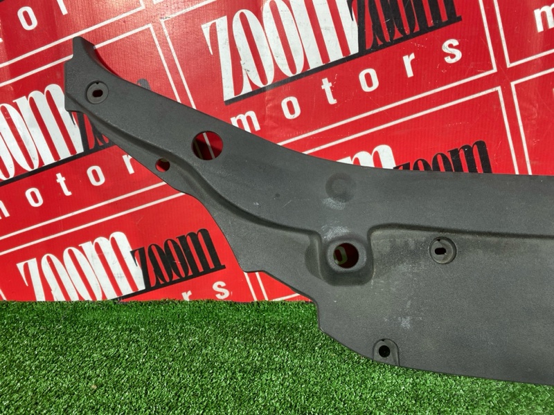 Накладка на решетку радиатора, 2000 рублей, Солонцы