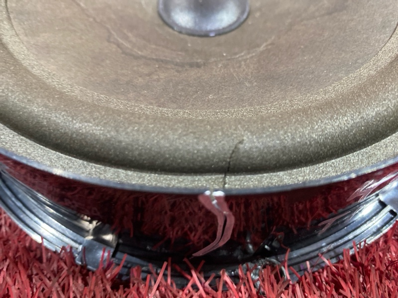 Динамик, 1000 рублей, Солонцы