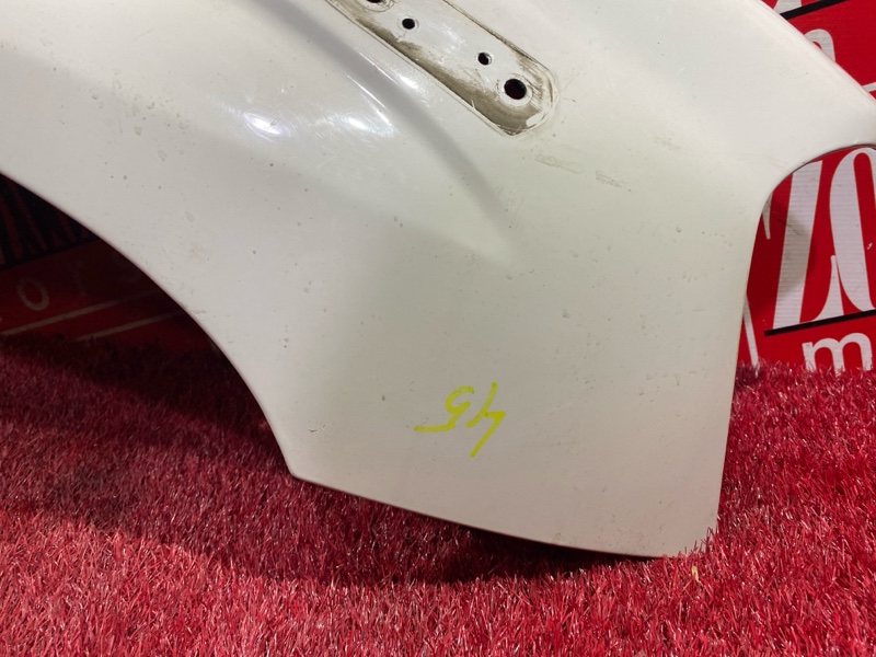 Крыло, 2900 рублей, Солонцы