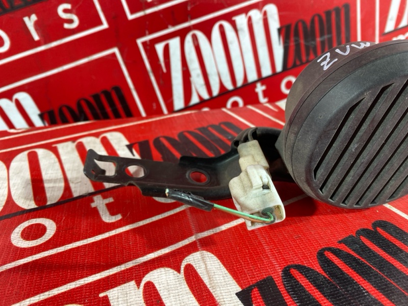 Сигнал, 1000 рублей, Солонцы