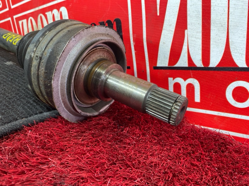 Привод, 3600 рублей, Солонцы