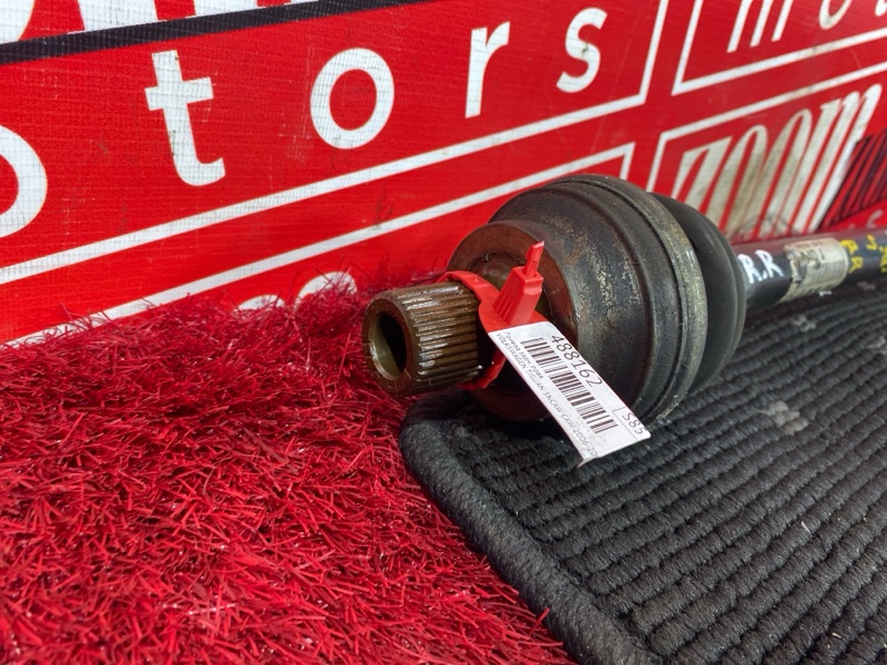 Привод, 3000 рублей, Солонцы