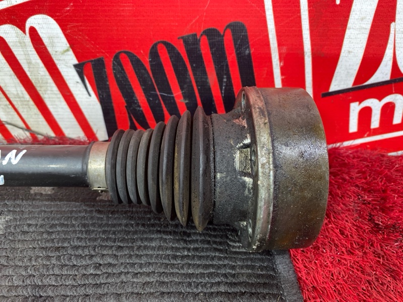 Привод, 3000 рублей, Солонцы