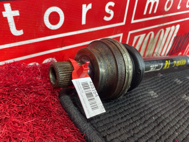 Привод, 3000 рублей, Солонцы