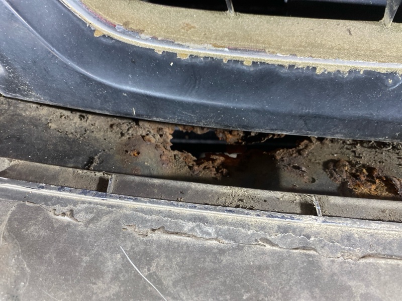 Nose cut, 36100 рублей, Солонцы