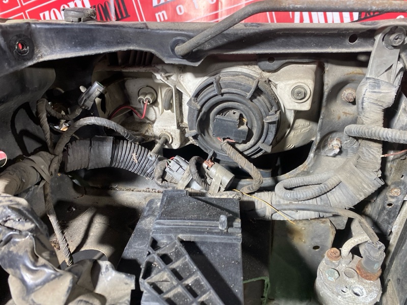 Nose cut, 36100 рублей, Солонцы