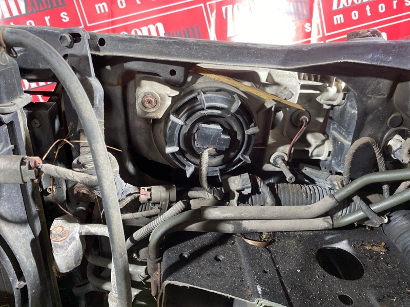 Nose cut, 36100 рублей, Солонцы