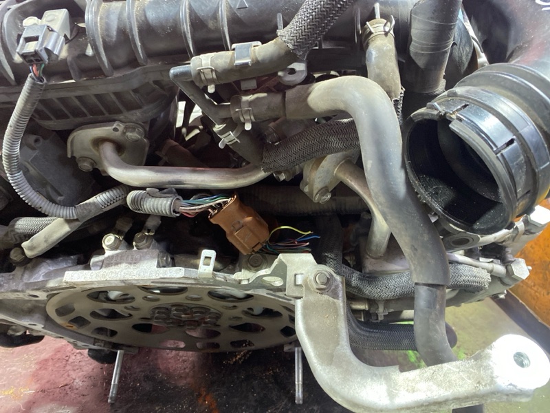 Двигатель, 190000 рублей, Солонцы