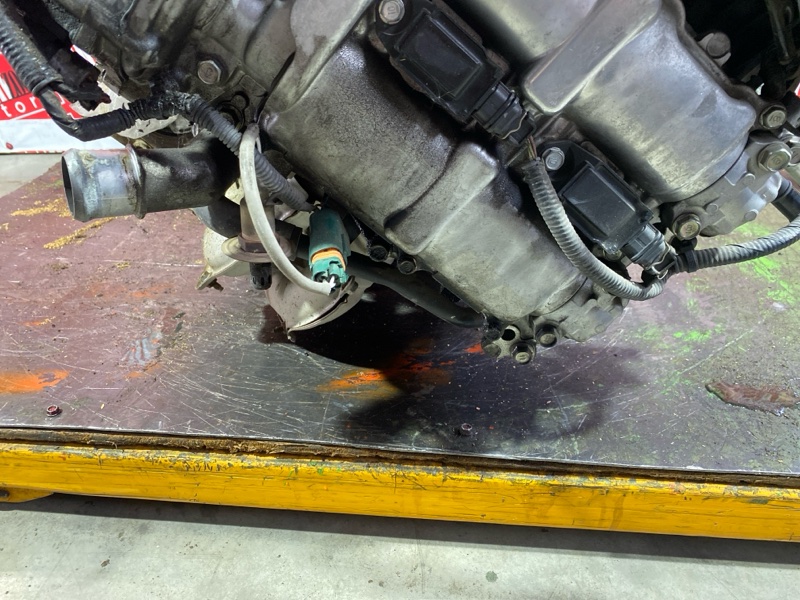 Двигатель, 190000 рублей, Солонцы