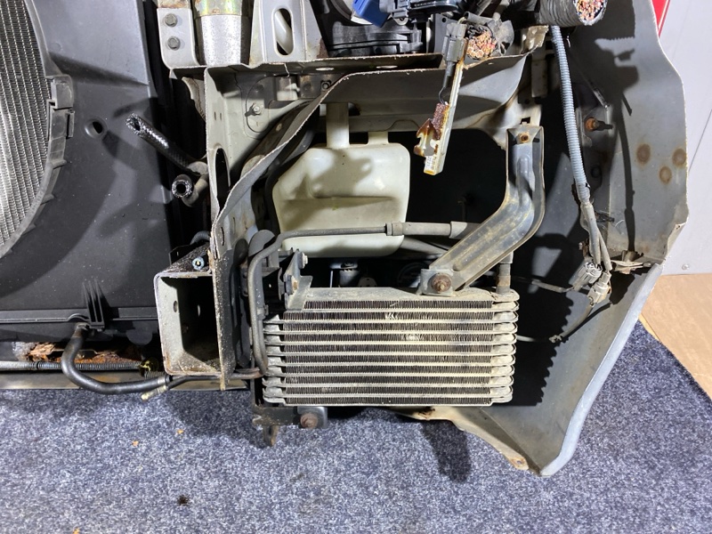 Ноускат, 52000 рублей, Солонцы