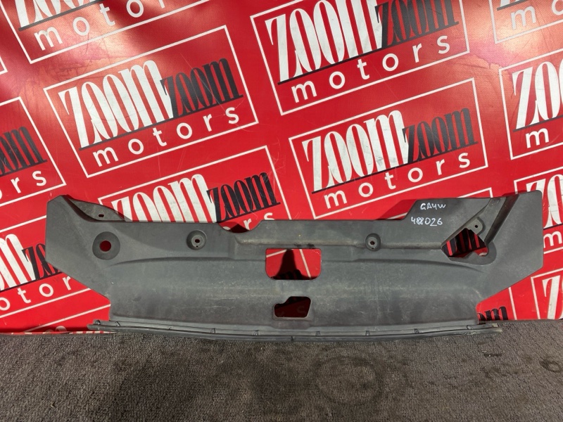 Накладка на решетку радиатора, 1000 рублей, Солонцы