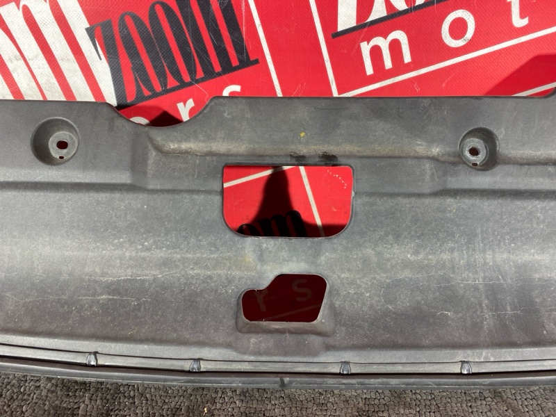 Накладка на решетку радиатора, 1000 рублей, Солонцы