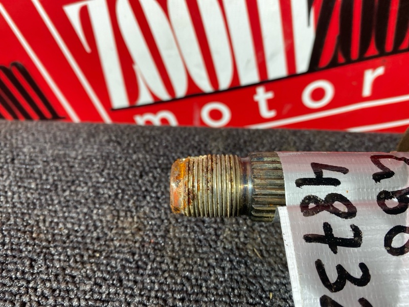 Привод, 2400 рублей, Солонцы