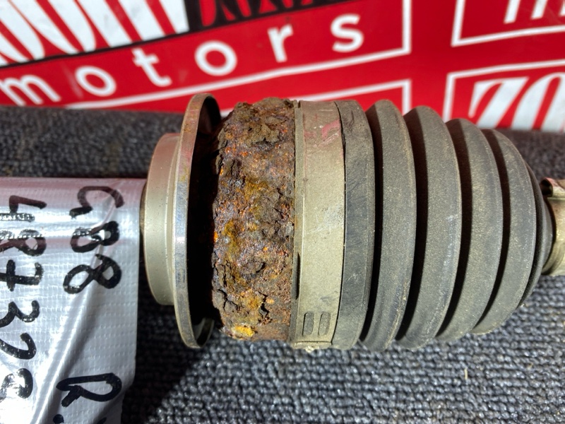 Привод, 2400 рублей, Солонцы