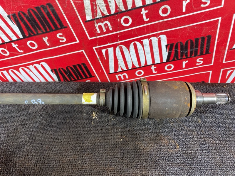 Привод, 2400 рублей, Солонцы