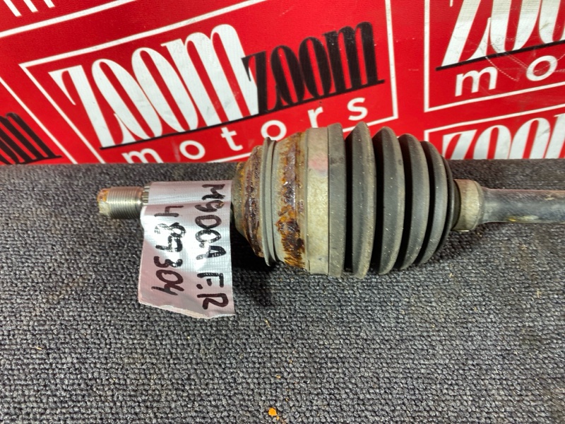 Привод, 5000 рублей, Солонцы