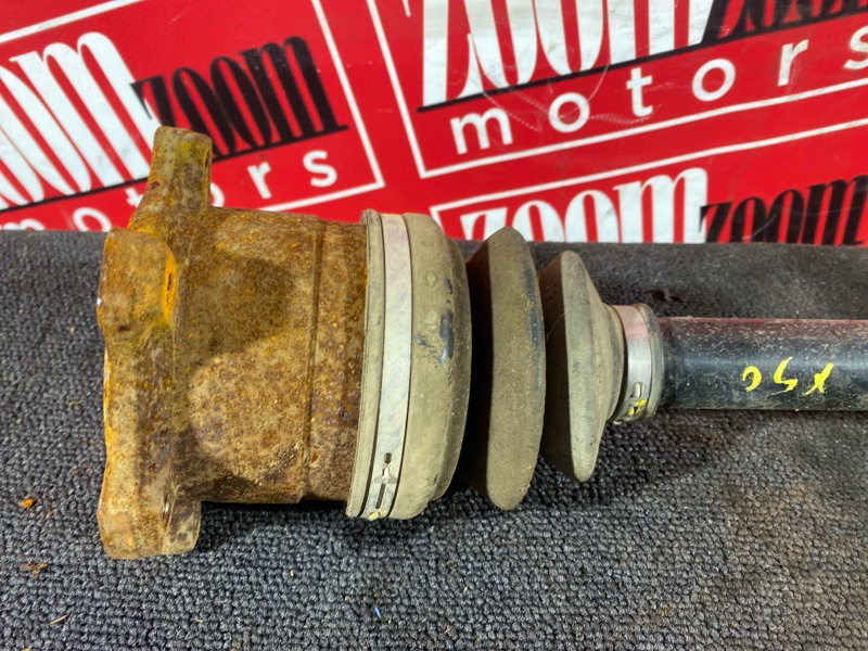 Привод, 1800 рублей, Солонцы