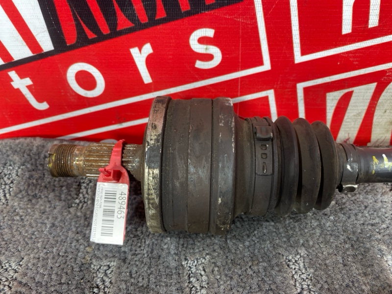 Привод, 800 рублей, Солонцы