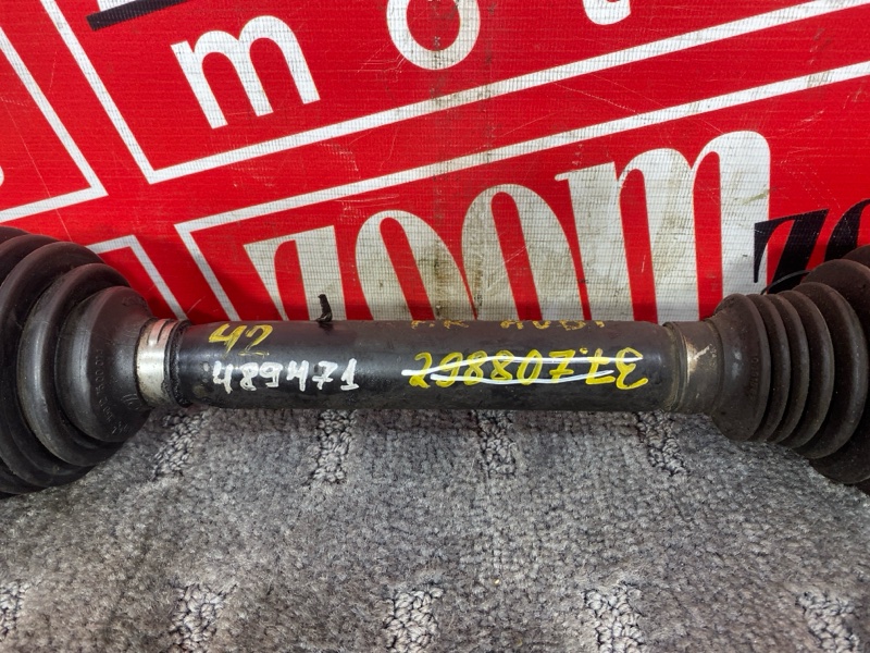 Привод, 4500 рублей, Солонцы