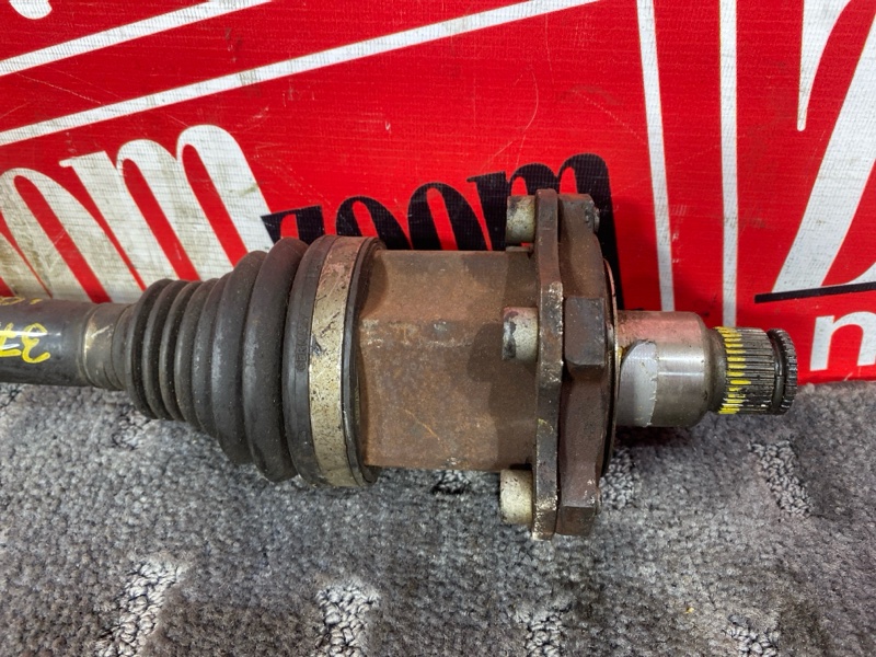 Привод, 4500 рублей, Солонцы