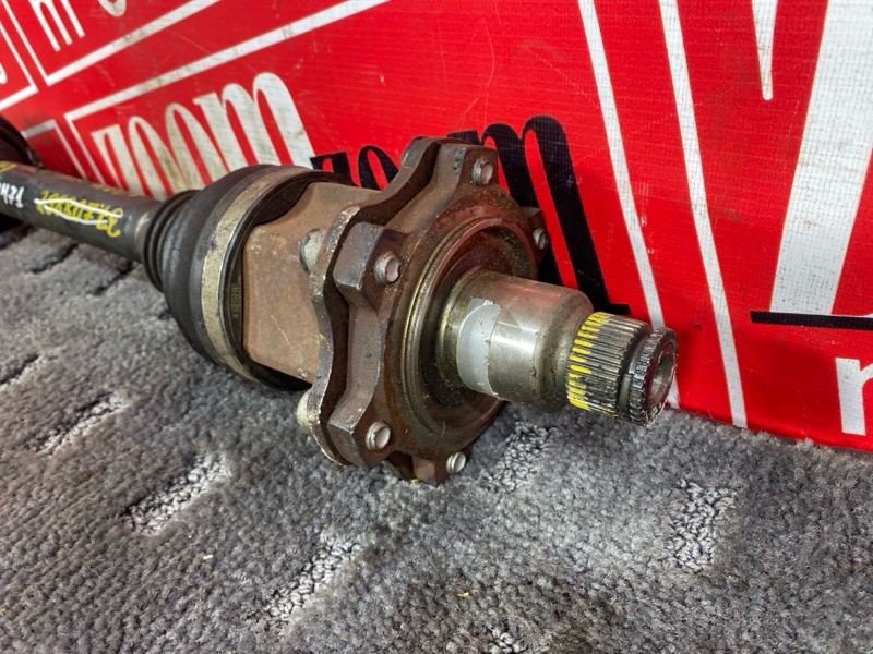 Привод, 4500 рублей, Солонцы