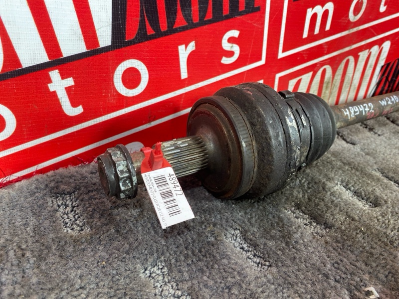 Привод, 900 рублей, Солонцы