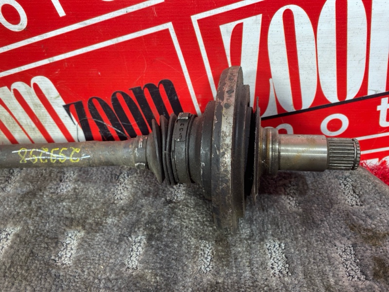 Привод, 900 рублей, Солонцы