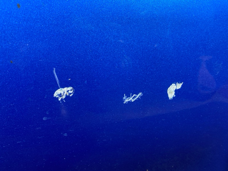 Дверь боковая, 11400 рублей, Красноярск