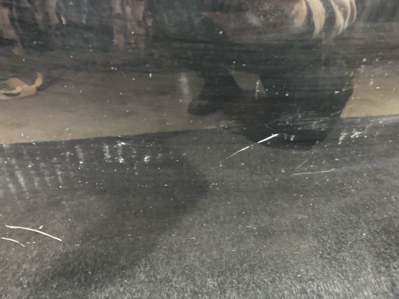 Дверь боковая, 18500 рублей, Красноярск