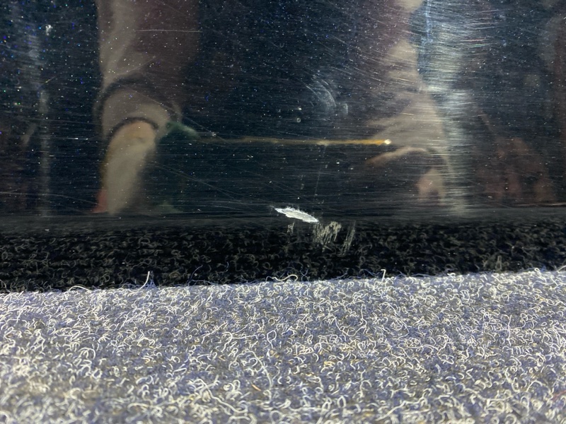 Дверь боковая, 39900 рублей, Красноярск