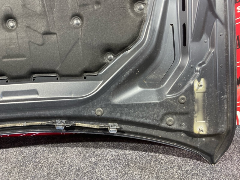 Капот, 27100 рублей, Солонцы