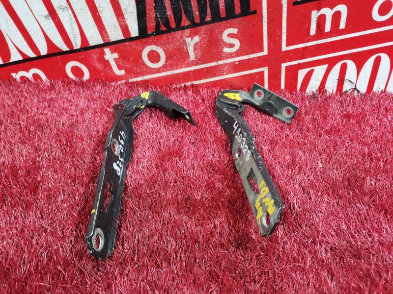 Петля (Шарнир капота), 200 рублей, Солонцы