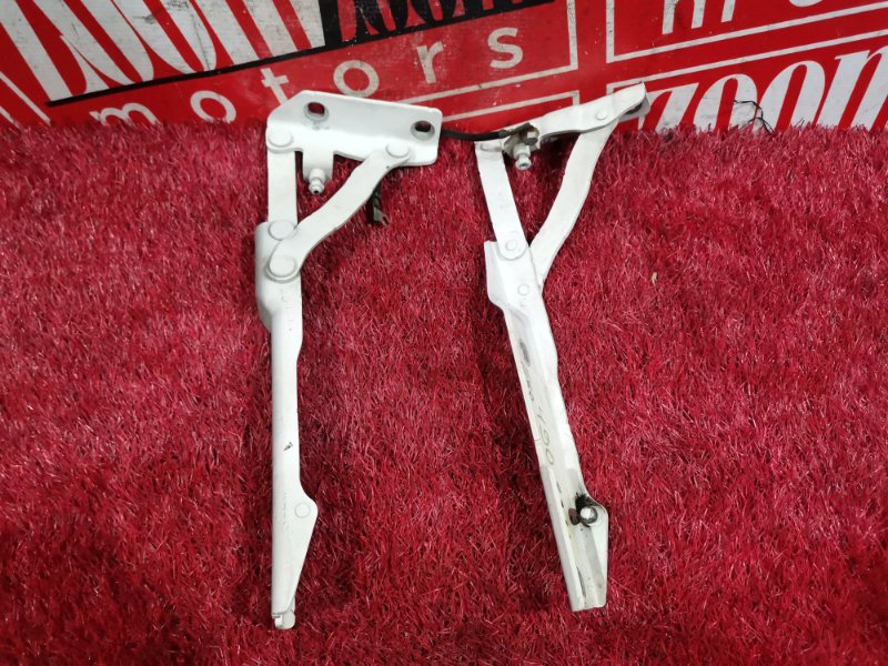 Петля (Шарнир капота), 300 рублей, Солонцы