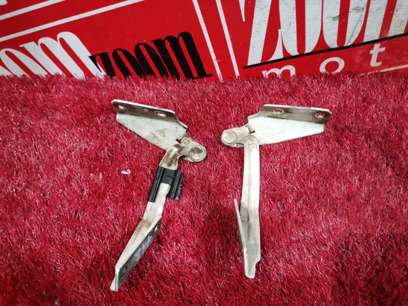 Петля (Шарнир капота), 1000 рублей, Солонцы