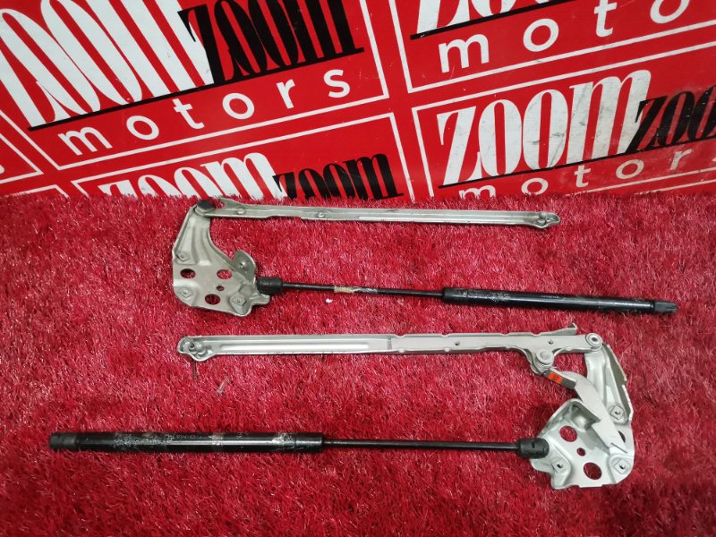 Петля (Шарнир капота), 800 рублей, Солонцы