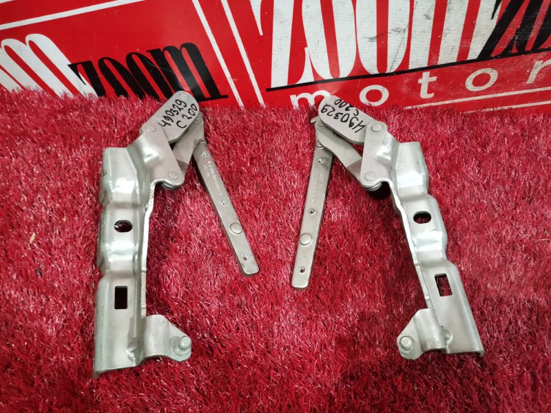 Петля (Шарнир капота), 500 рублей, Солонцы