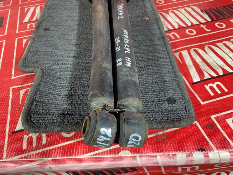 Амортизатор, 1000 рублей, Солонцы