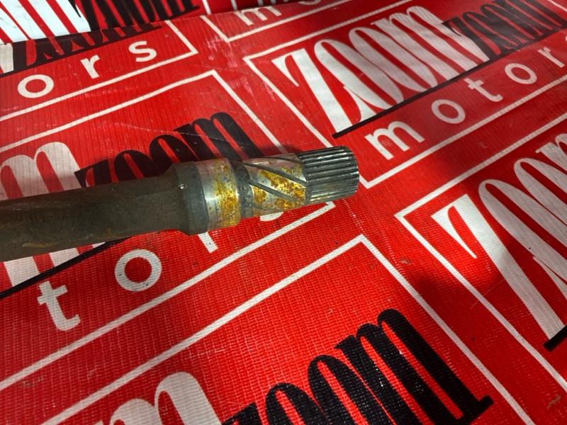 Привод, 9500 рублей, Солонцы