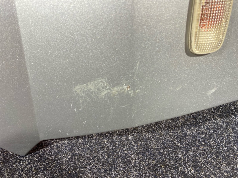 Крыло, 2300 рублей, Красноярск