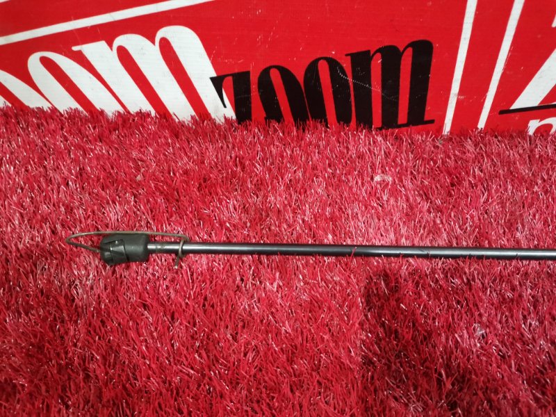 Амортизатор багажника, 500 рублей, Солонцы