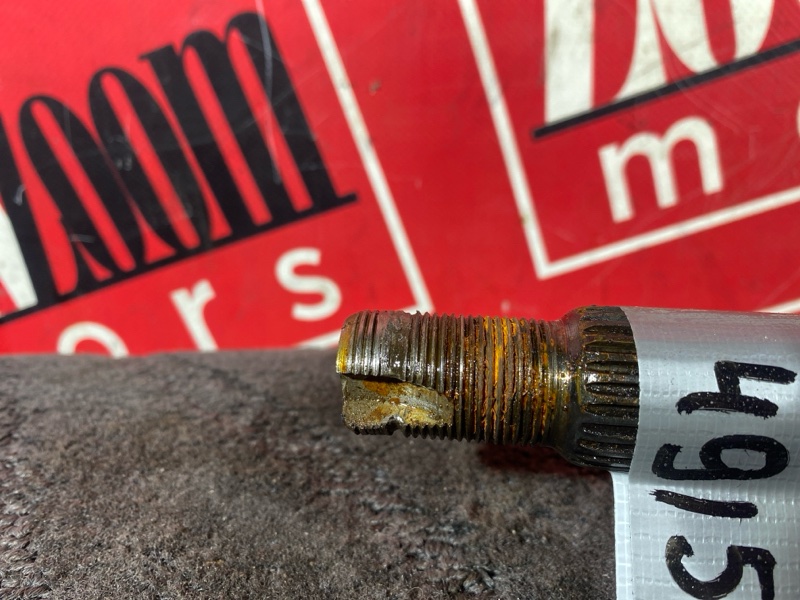 Привод, 5000 рублей, Солонцы