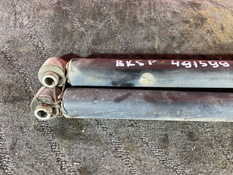 Амортизатор, 1000 рублей, Солонцы