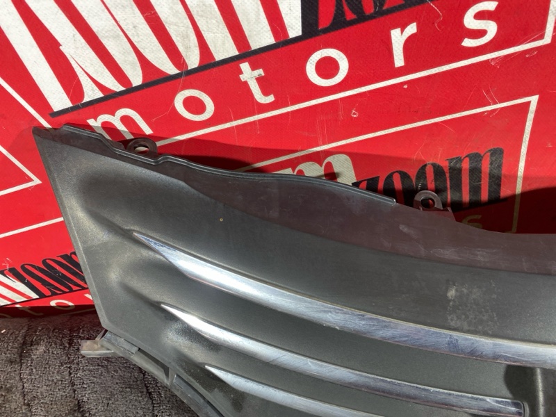 Решетка радиатора, 1000 рублей, Солонцы