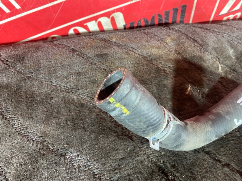 Патрубок радиатора, 1000 рублей, Солонцы