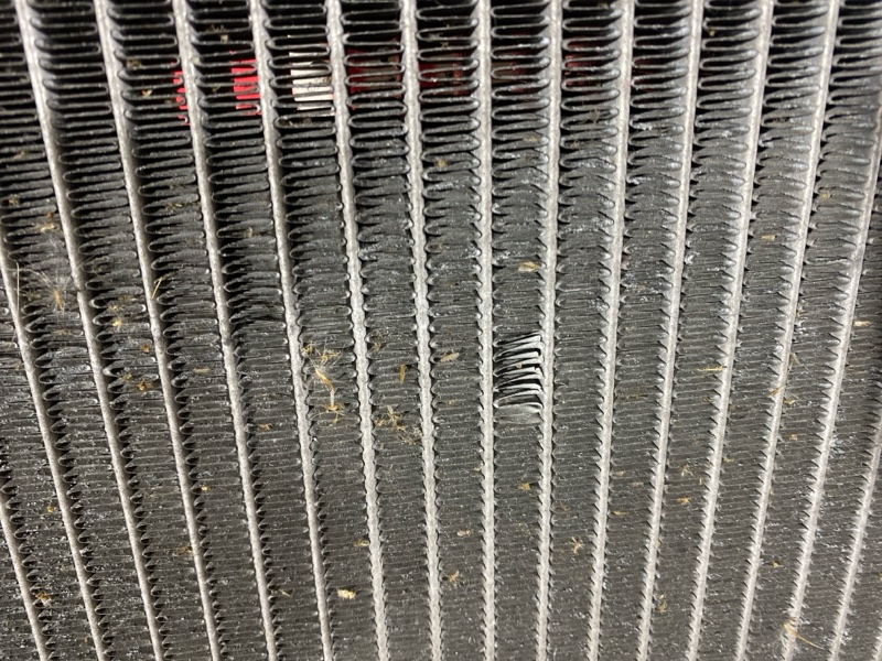 Радиатор двигателя, 8100 рублей, Солонцы