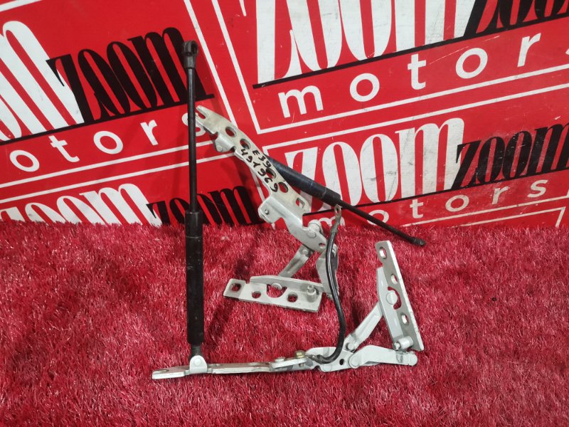 Петля (Шарнир капота), 1900 рублей, Солонцы