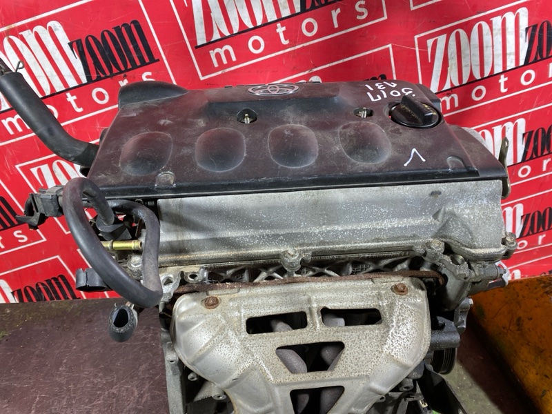 Двигатель, 84600 рублей, Солонцы