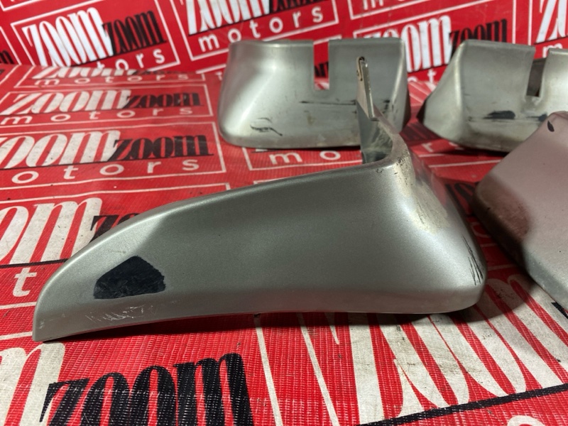 Брызговик, 1000 рублей, Солонцы