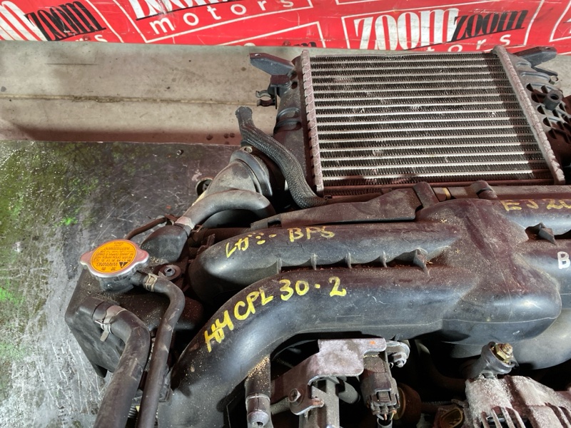 Двигатель, 99300 рублей, Солонцы